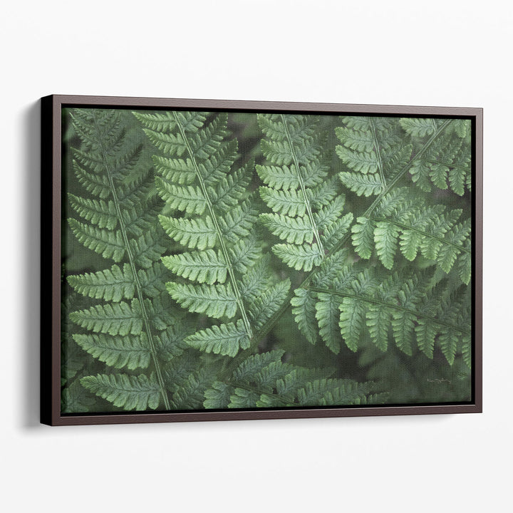 Lady Ferns IV - Canvas Print Wall Art