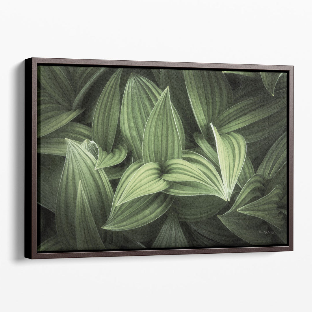 Corn Lily I - Canvas Print Wall Art