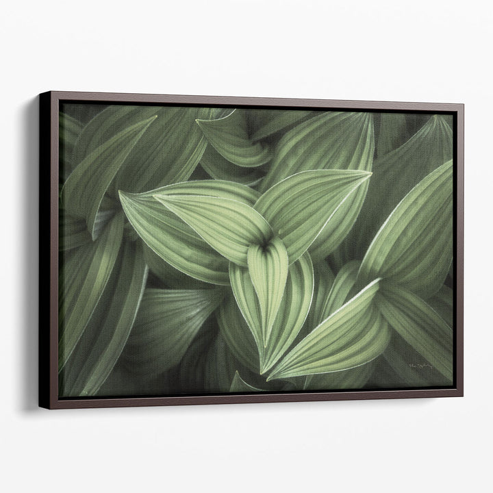 Corn Lily II - Canvas Print Wall Art