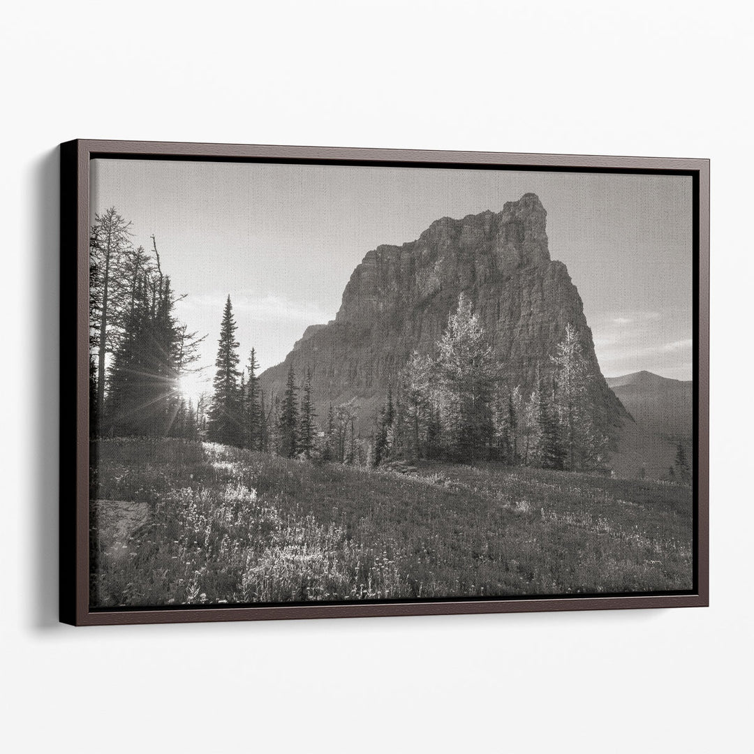 Boulder Pass Glacier National Park Black and White - Canvas Print Wall Art