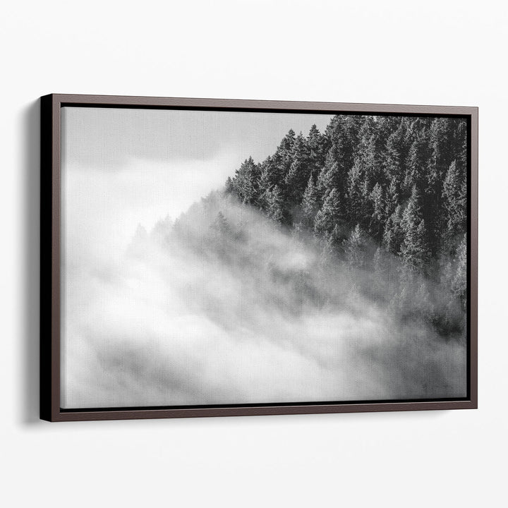 Fog and Forest I Black and White - Canvas Print Wall Art