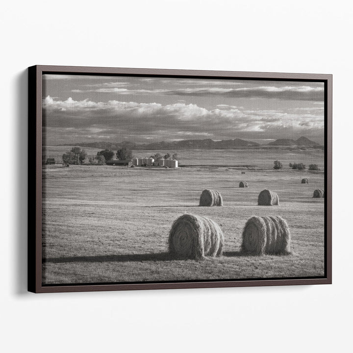 Montana Hay Bales - Canvas Print Wall Art