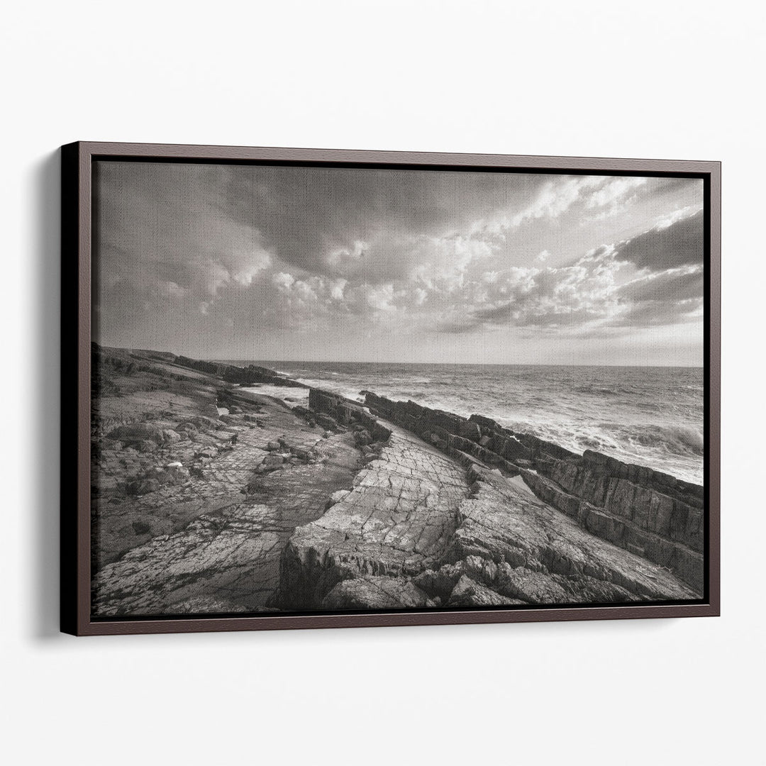 Avalon Peninsula - Canvas Print Wall Art