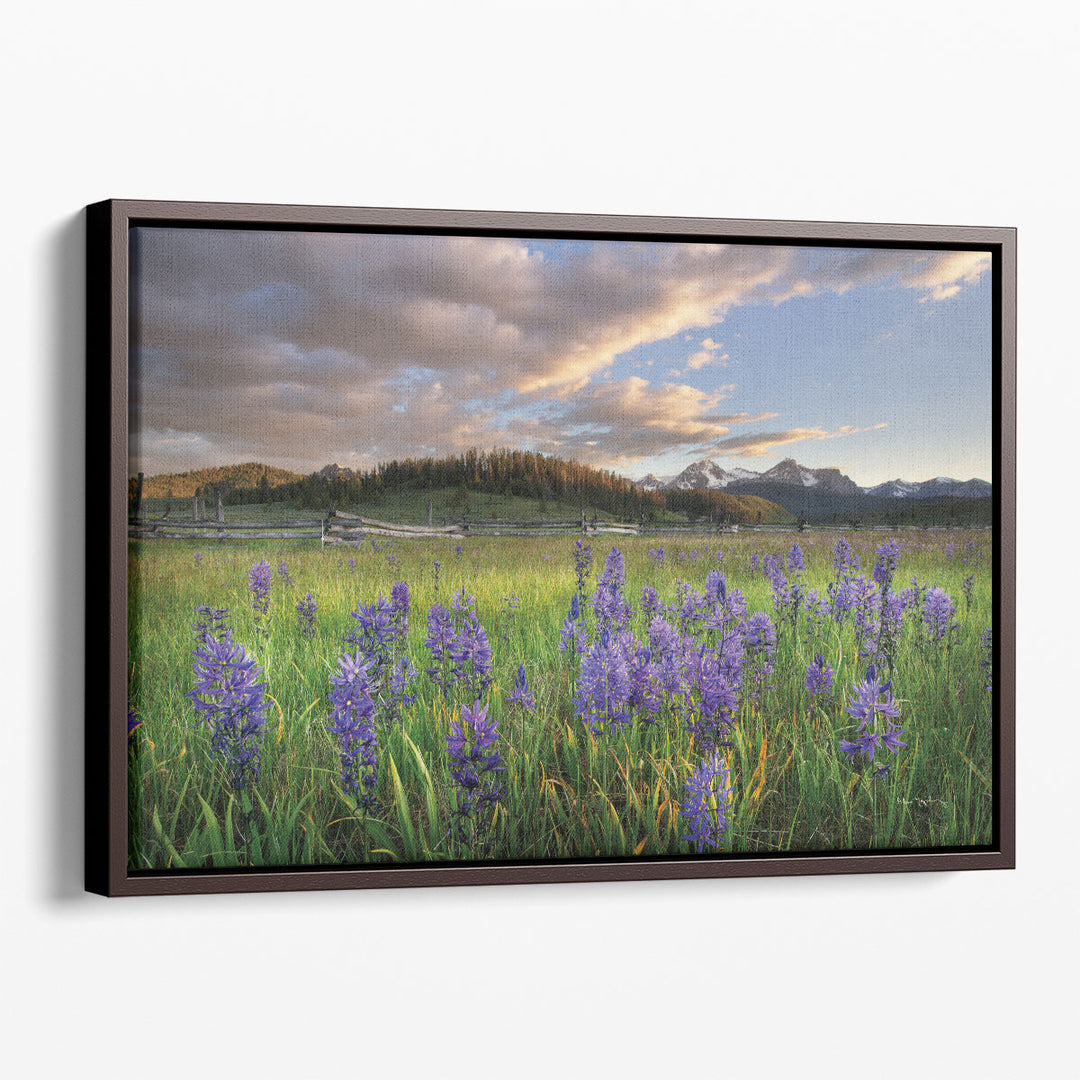 Camas Meadows - Canvas Print Wall Art