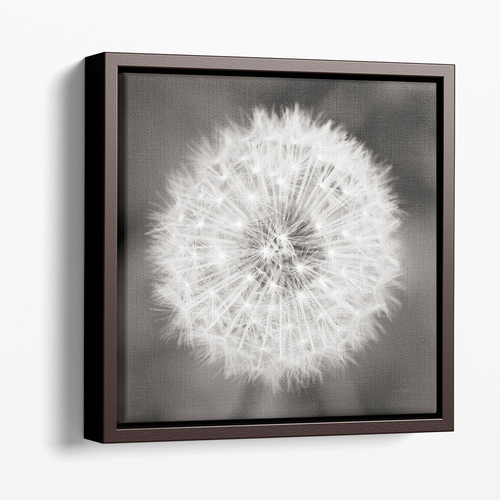 Dandelion Seedhead - Canvas Print Wall Art