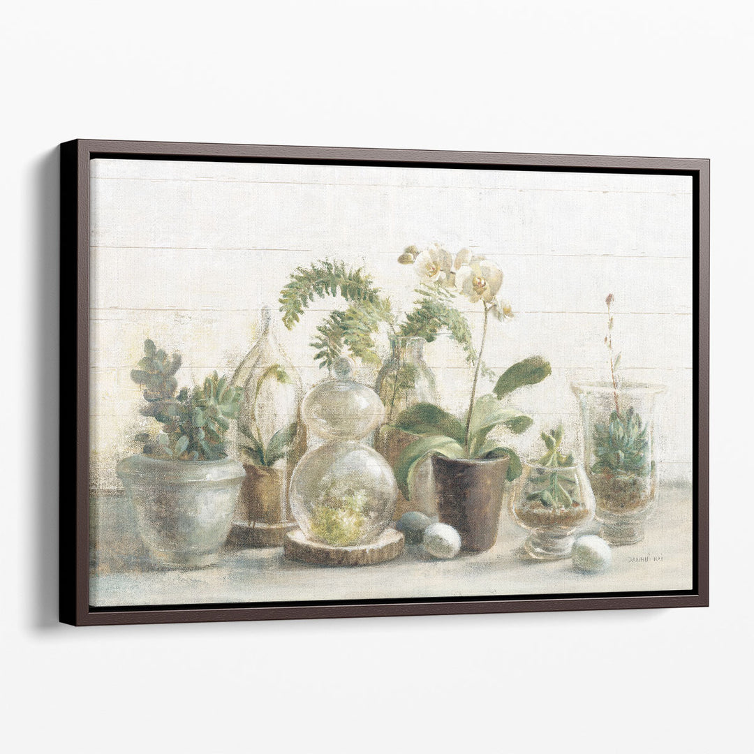 Greenhouse Orchids on Shiplap - Canvas Print Wall Art