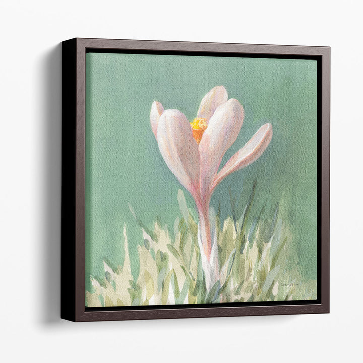 Soft Crocus - Canvas Print Wall Art