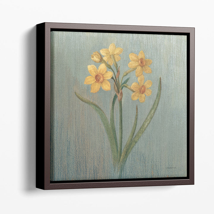 Cottage Daffodil - Canvas Print Wall Art