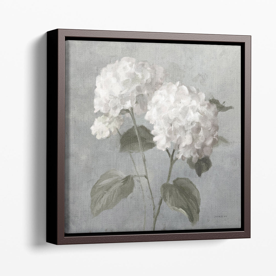 White Hydrangeas - Canvas Print Wall Art