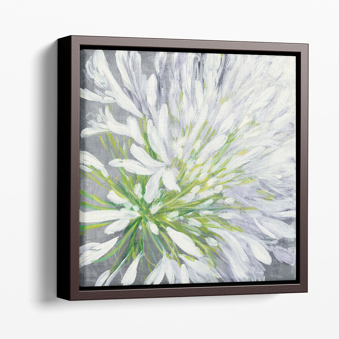 Cleome Splash II - Canvas Print Wall Art