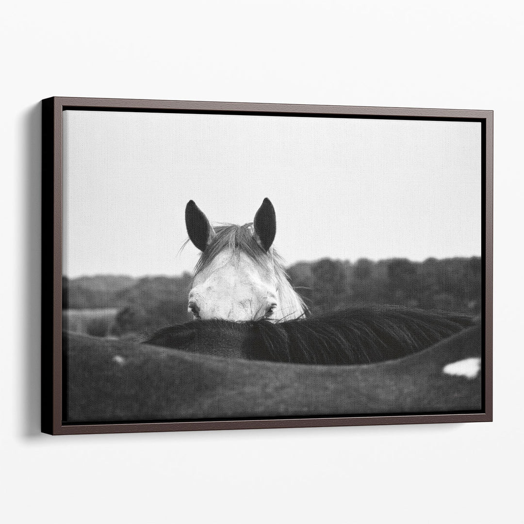 Flirt - Canvas Print Wall Art