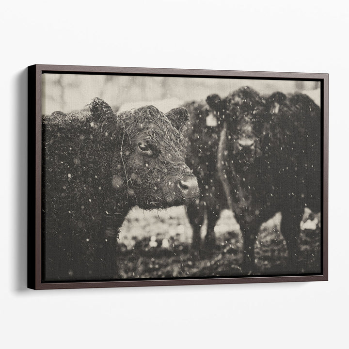 Its Snowing - Canvas Print Wall Art