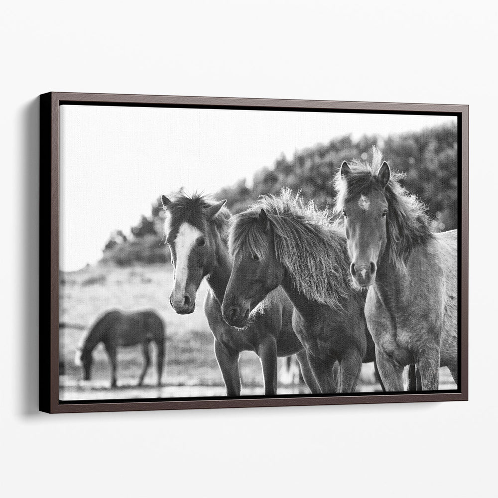 Horses Three - Canvas Print Wall Art