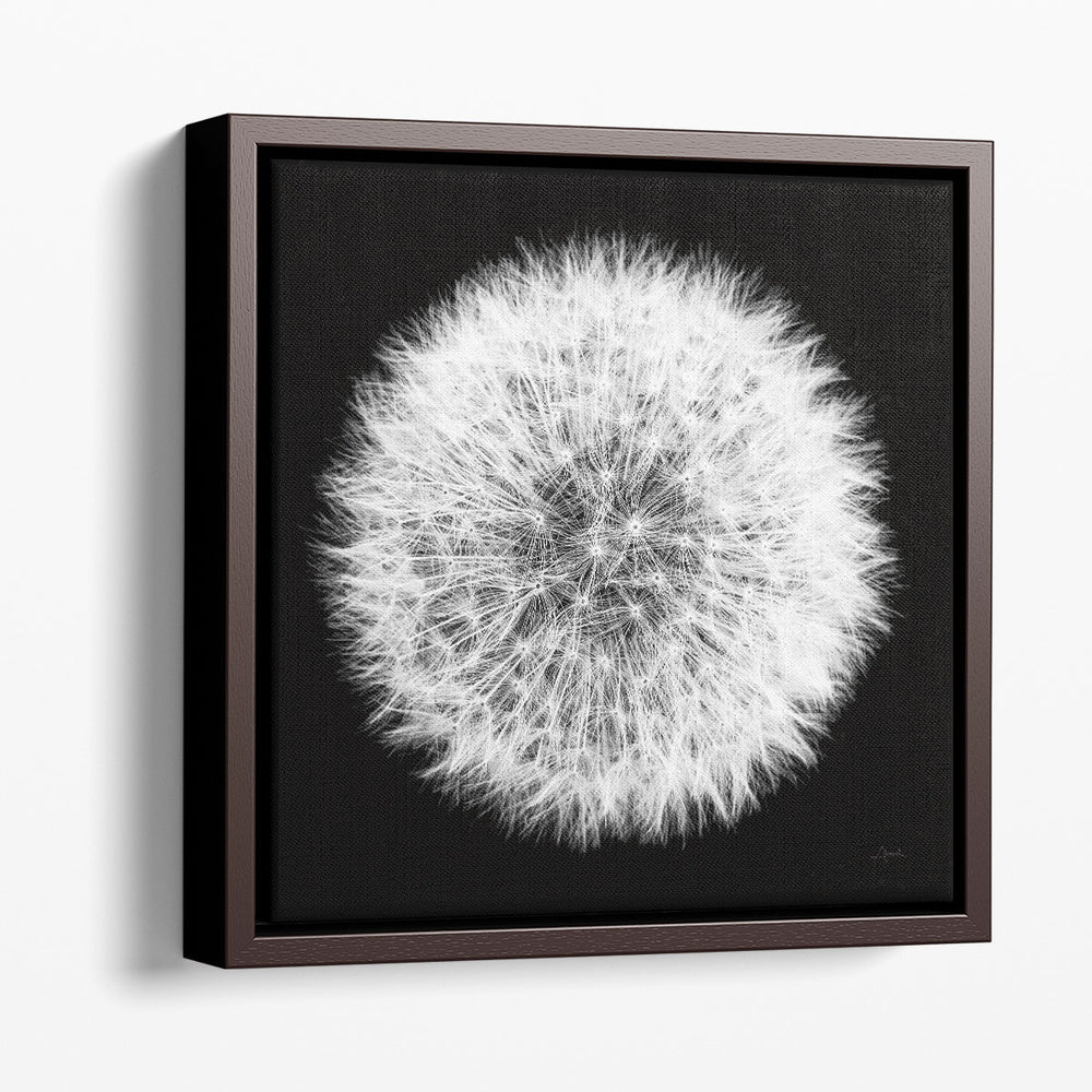 Dandelion on Black I - Canvas Print Wall Art