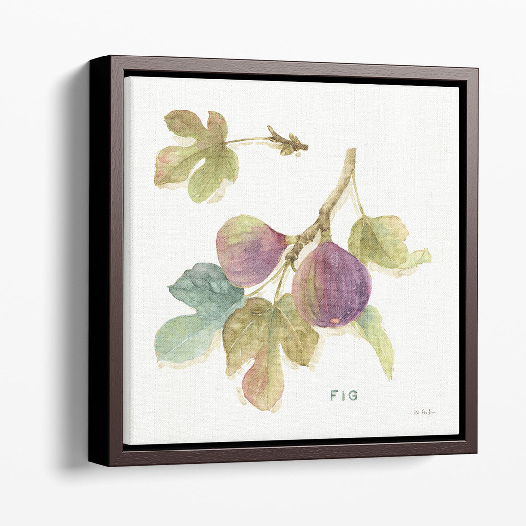 Orchard Bloom III - Canvas Print Wall Art