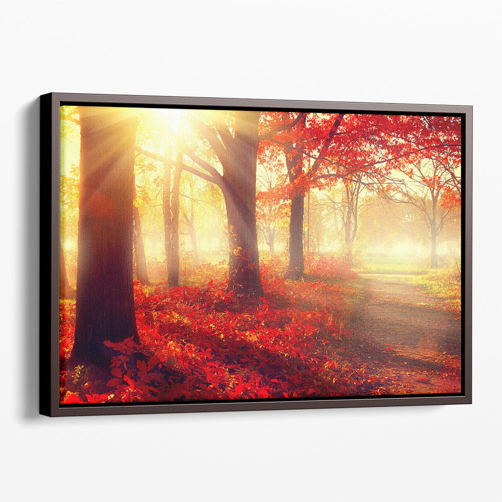 Autumn Mist Grove - Canvas Print Wall Art