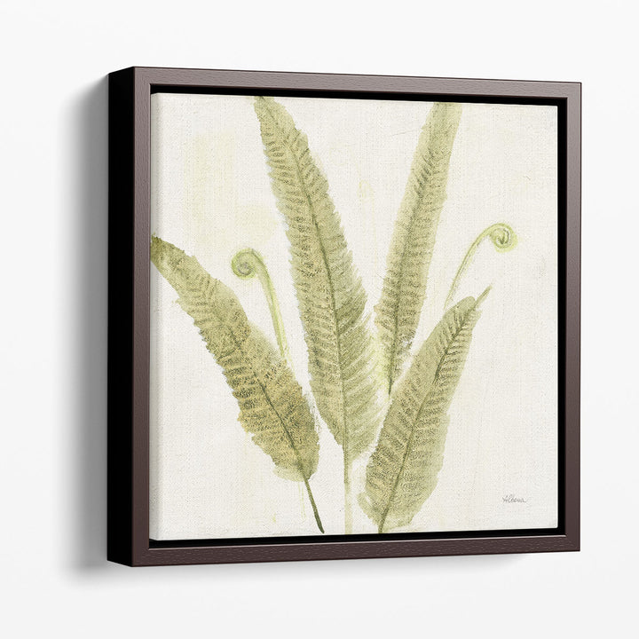 Forest Ferns II - Canvas Print Wall Art