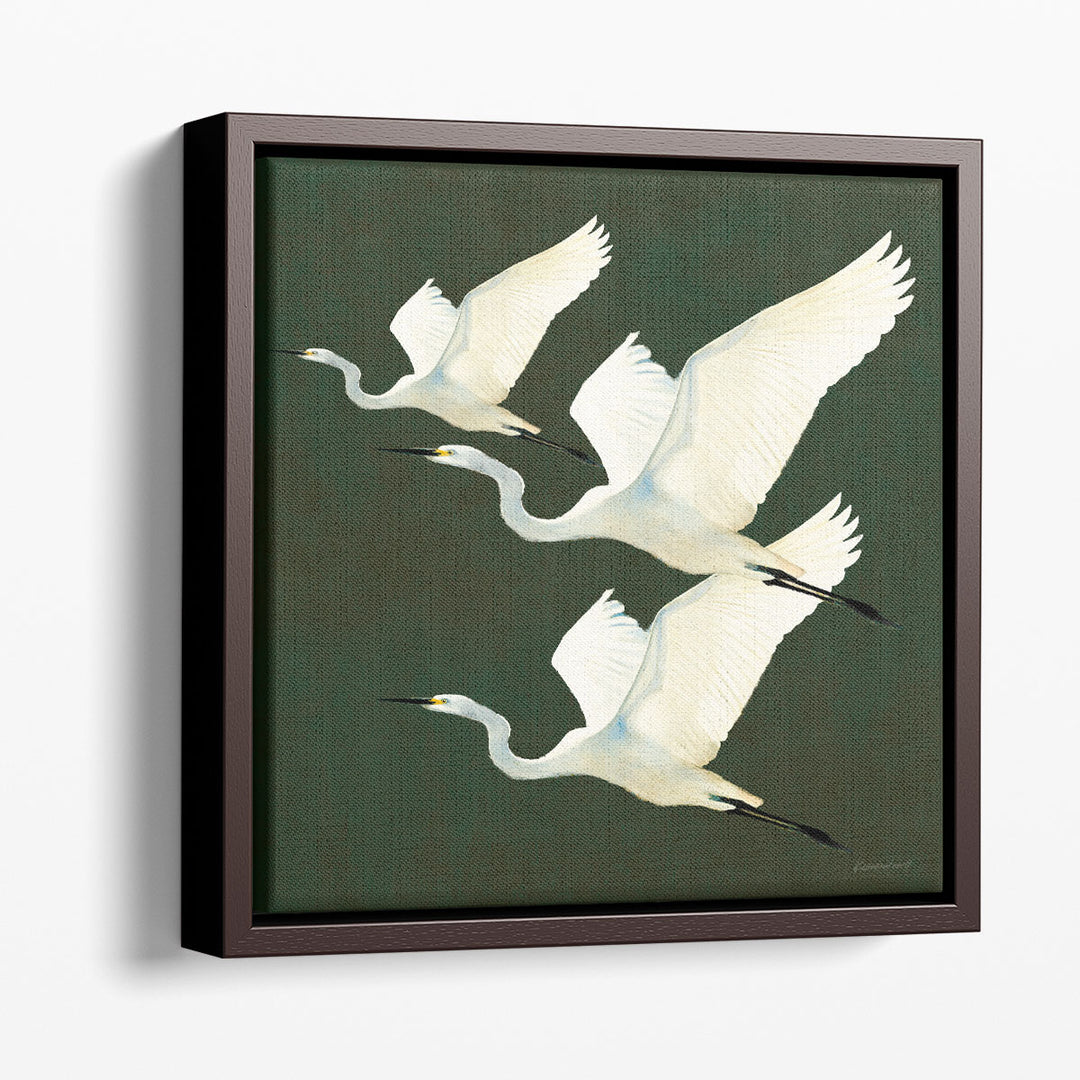 Egrets Alighting II - Canvas Print Wall Art