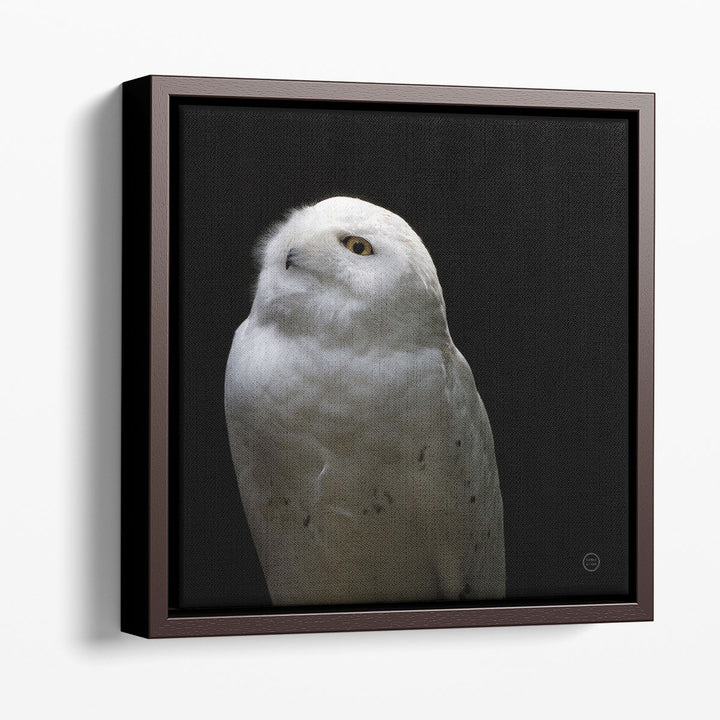 Snowy Owl Looks to the Sun Black and White - Canvas Print Wall Art