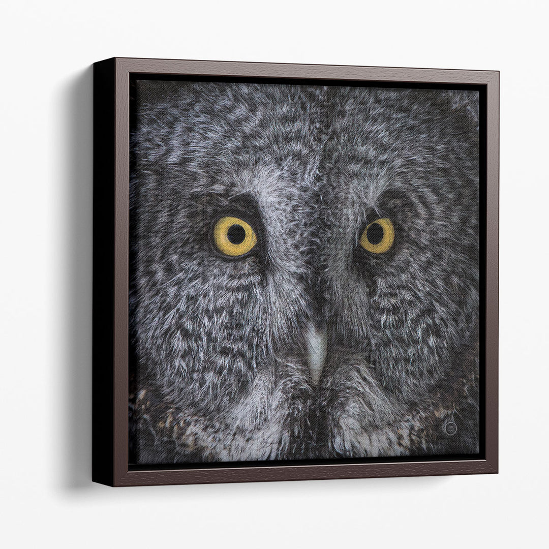 Great Grey Owl Black and White - Canvas Print Wall Art