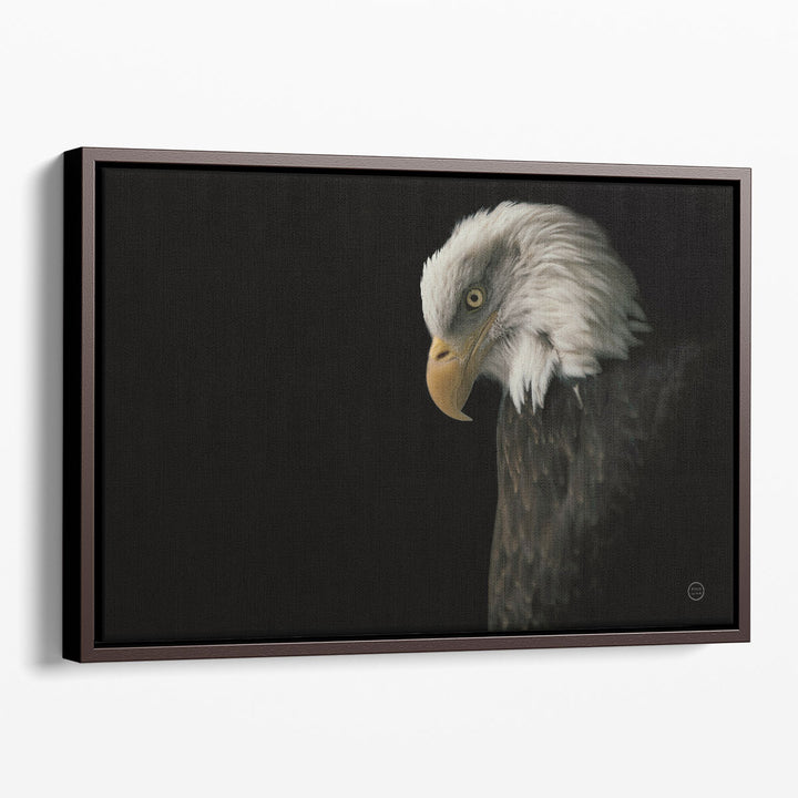 Eagle Bow Black and White - Canvas Print Wall Art