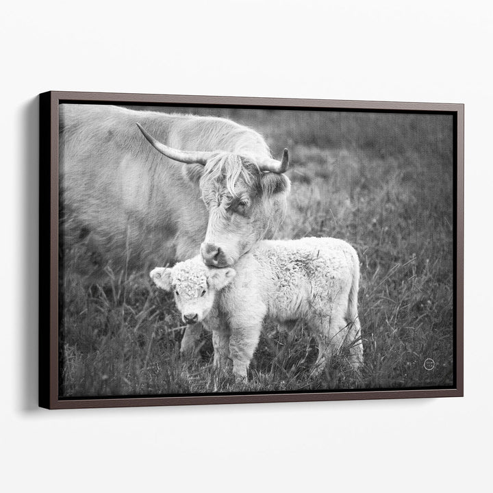 Cow Care Black and White - Canvas Print Wall Art