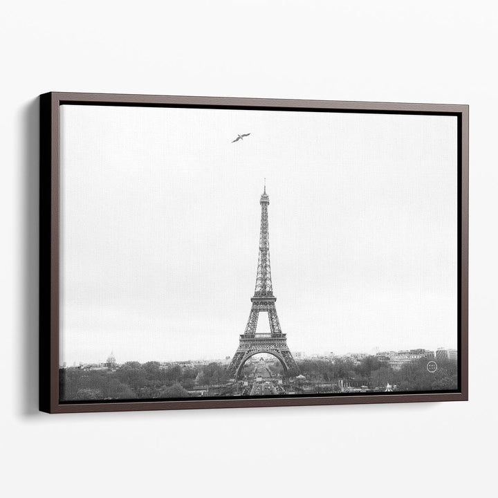 A Birds View of Paris Black and White - Canvas Print Wall Art