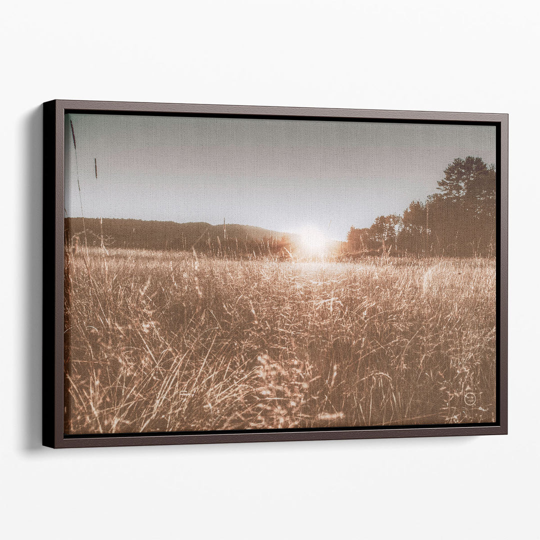 Fields of Gold - Canvas Print Wall Art