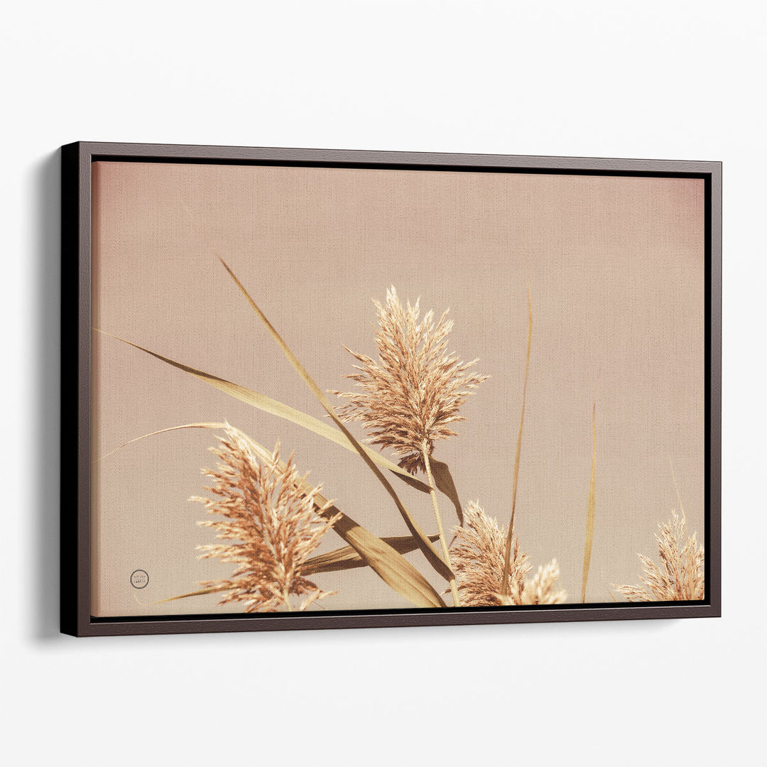 Noon Grasses III - Canvas Print Wall Art