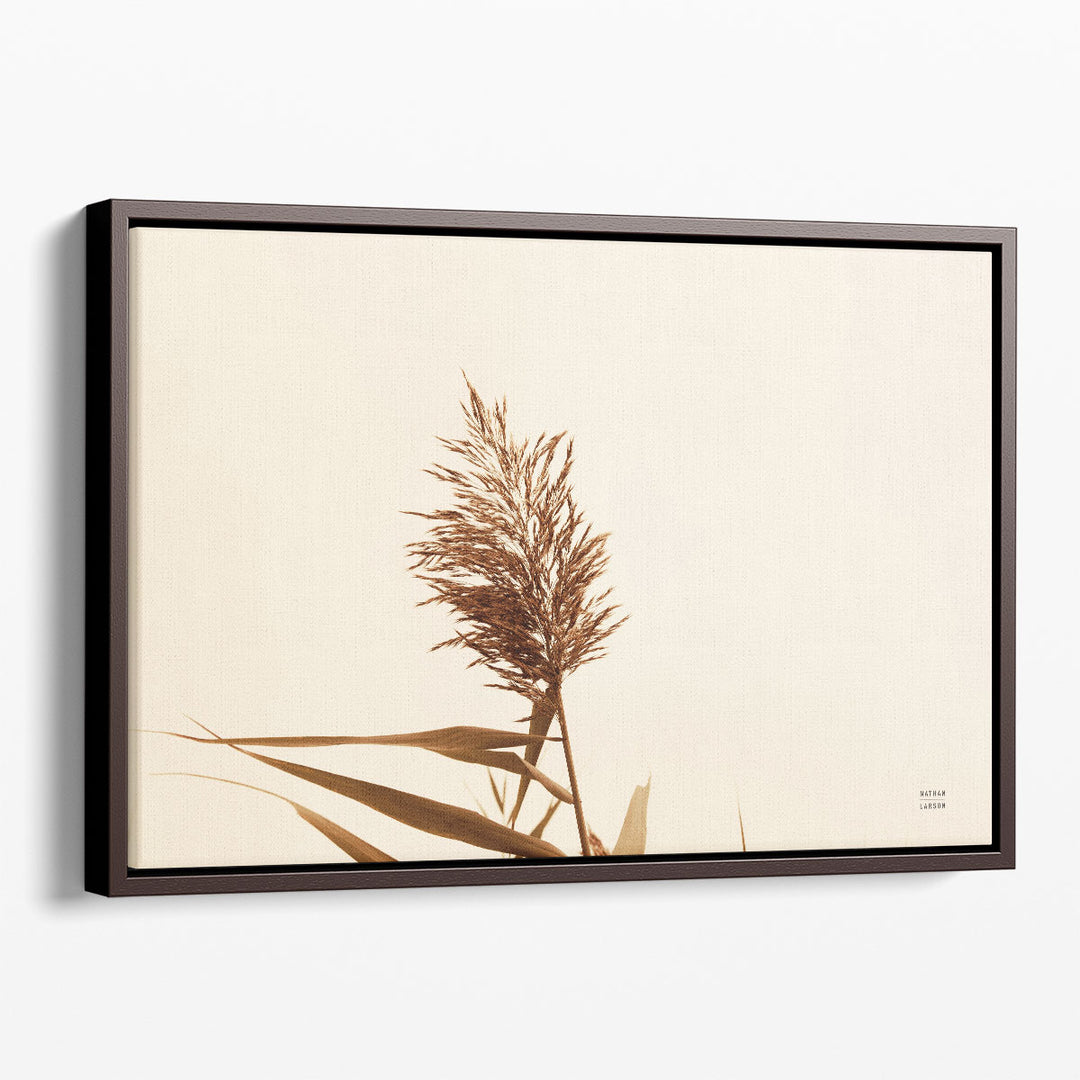 Summer Reeds I - Canvas Print Wall Art