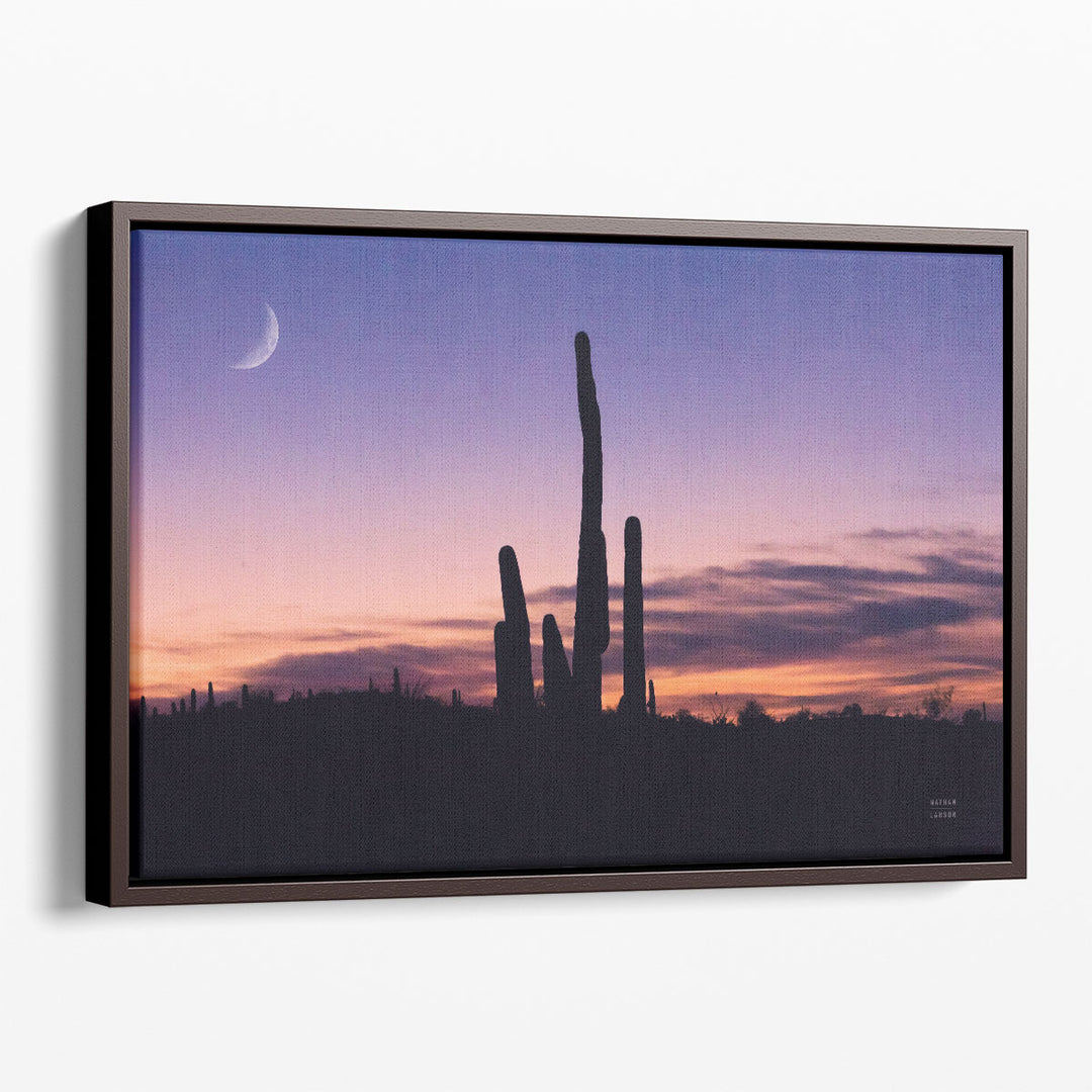 Desert Moons - Canvas Print Wall Art