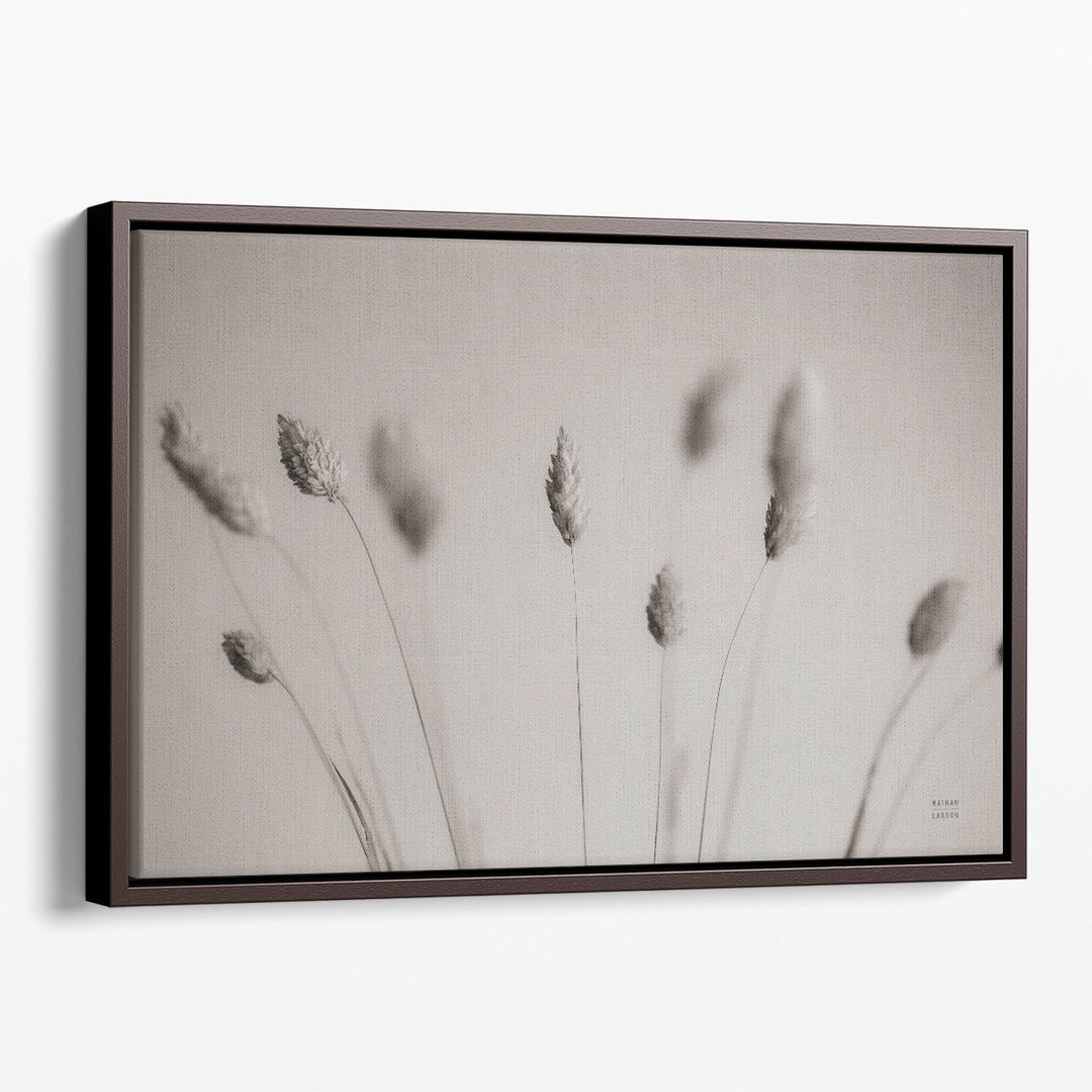 Natural Grasses - Canvas Print Wall Art