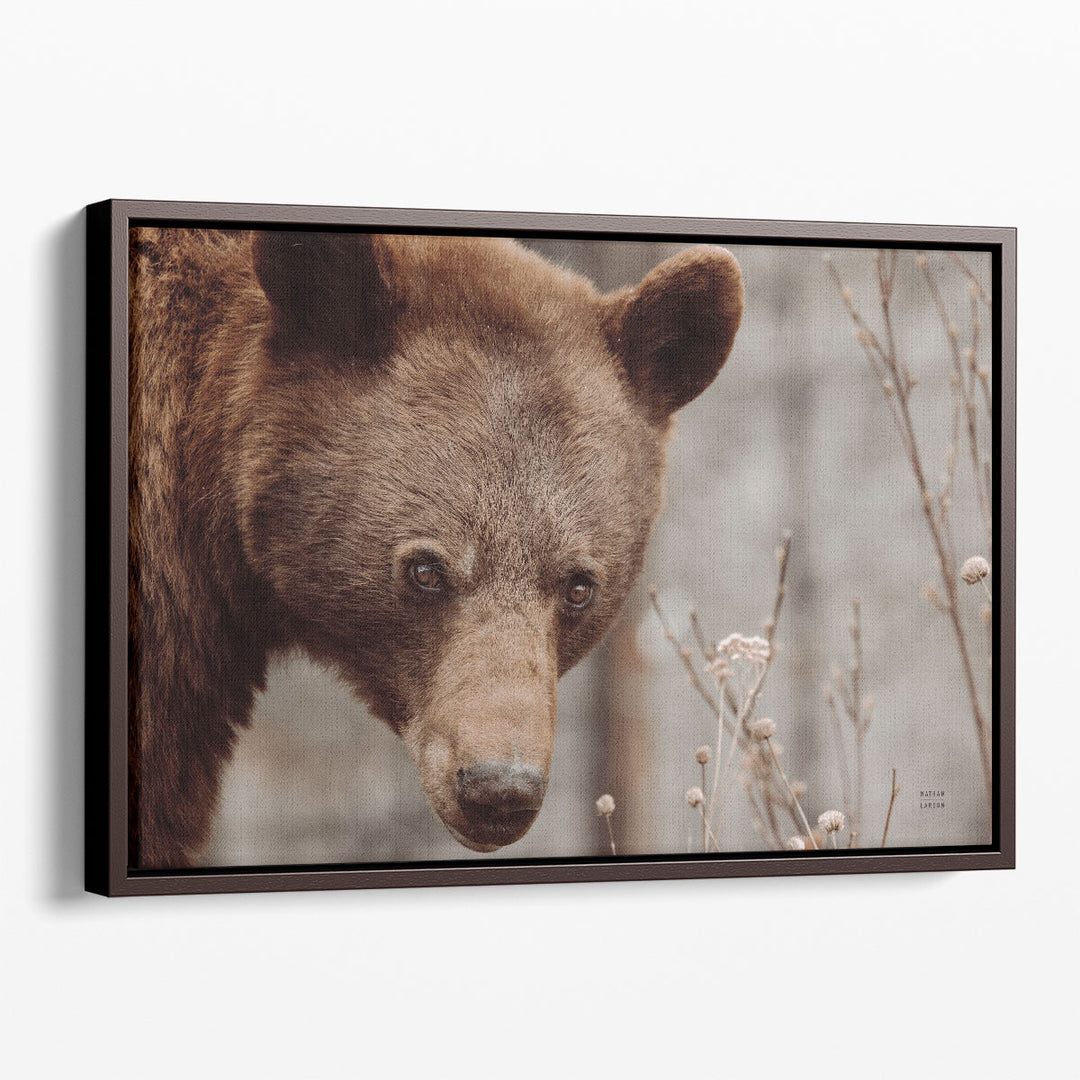 Bear Profile II - Canvas Print Wall Art