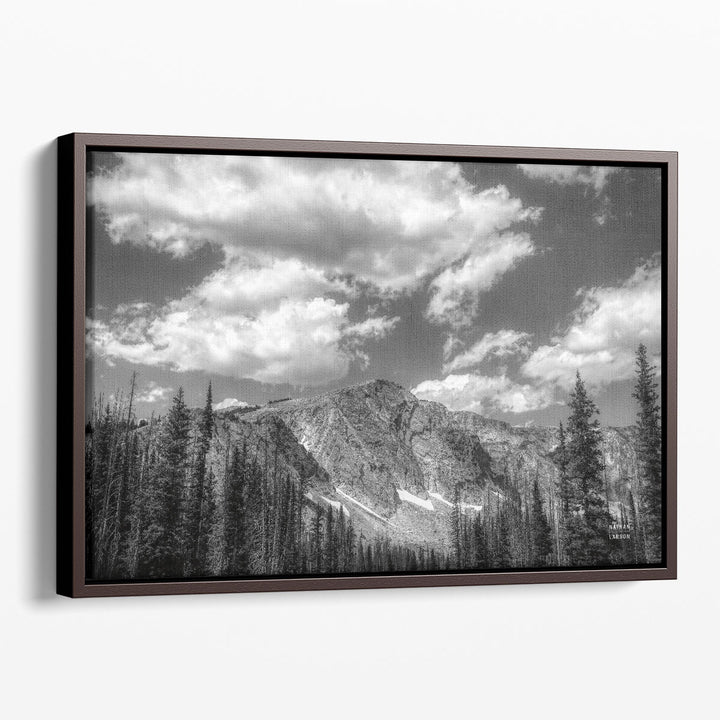 Wyoming Blues Black and White - Canvas Print Wall Art