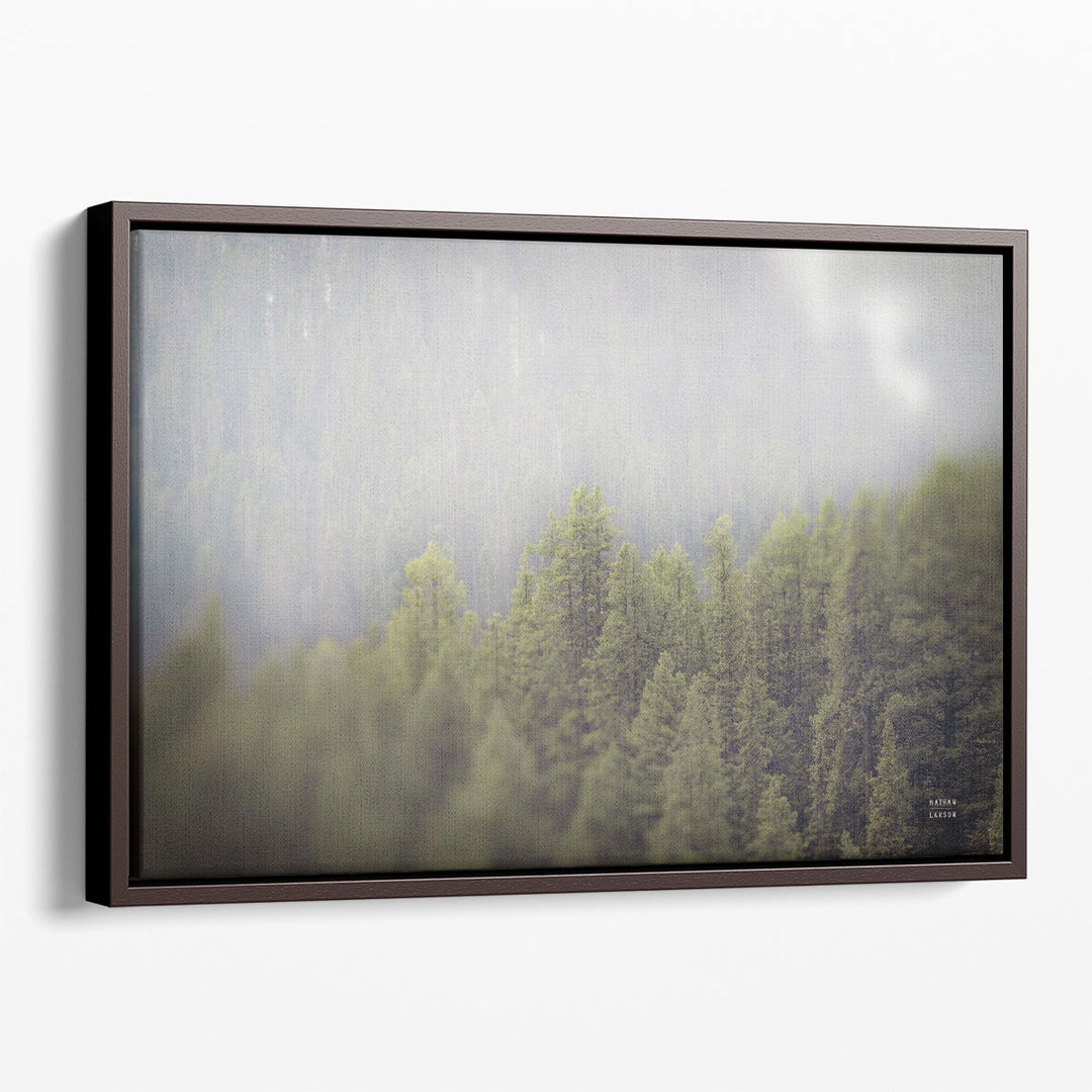 Northern Forests - Canvas Print Wall Art