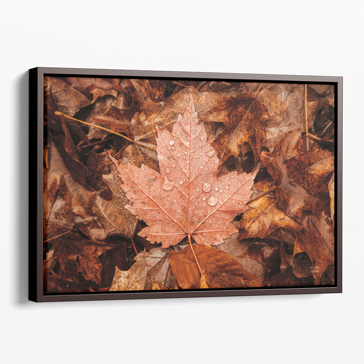 Fall Rains I - Canvas Print Wall Art