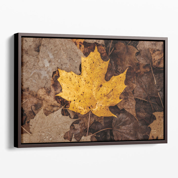 Fall Rains II - Canvas Print Wall Art