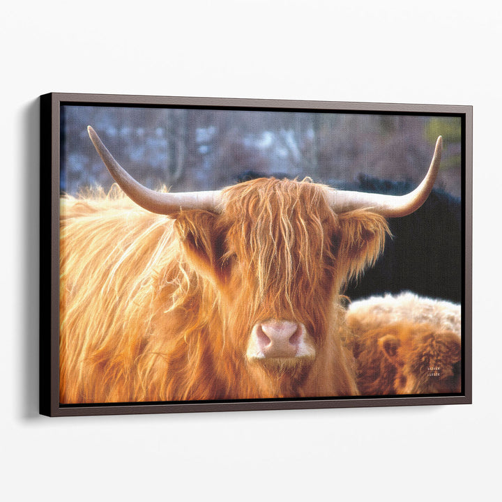 Highland Cow Sunshine - Canvas Print Wall Art