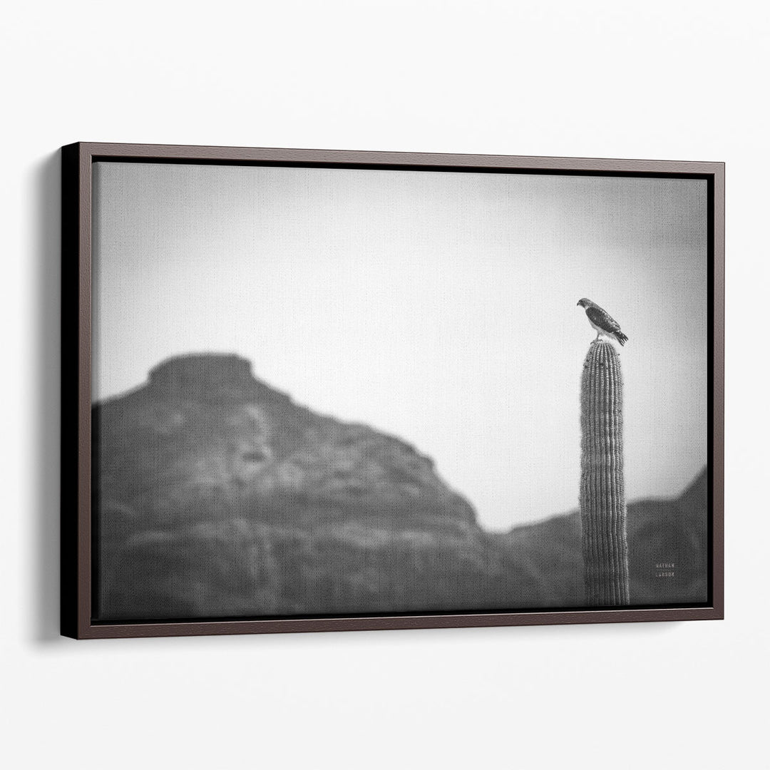 Desert Hunter Black and White - Canvas Print Wall Art