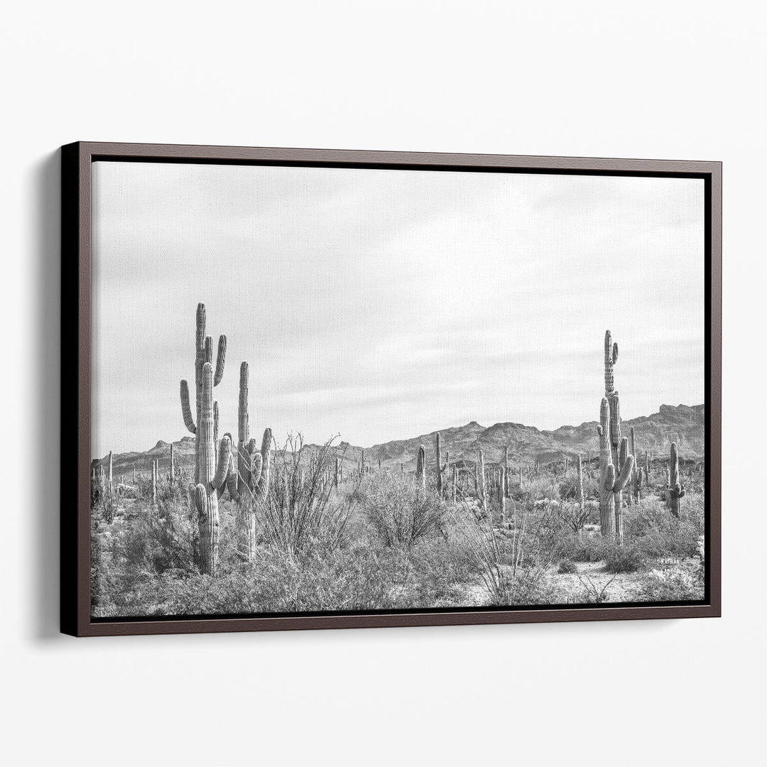 Sonoran Wonderland Black and White - Canvas Print Wall Art