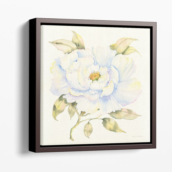 Peony - Canvas Print Wall Art