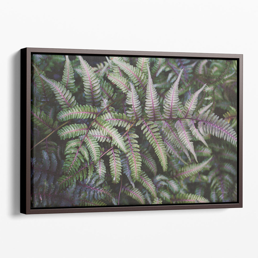 Funky Ferns IV - Canvas Print Wall Art