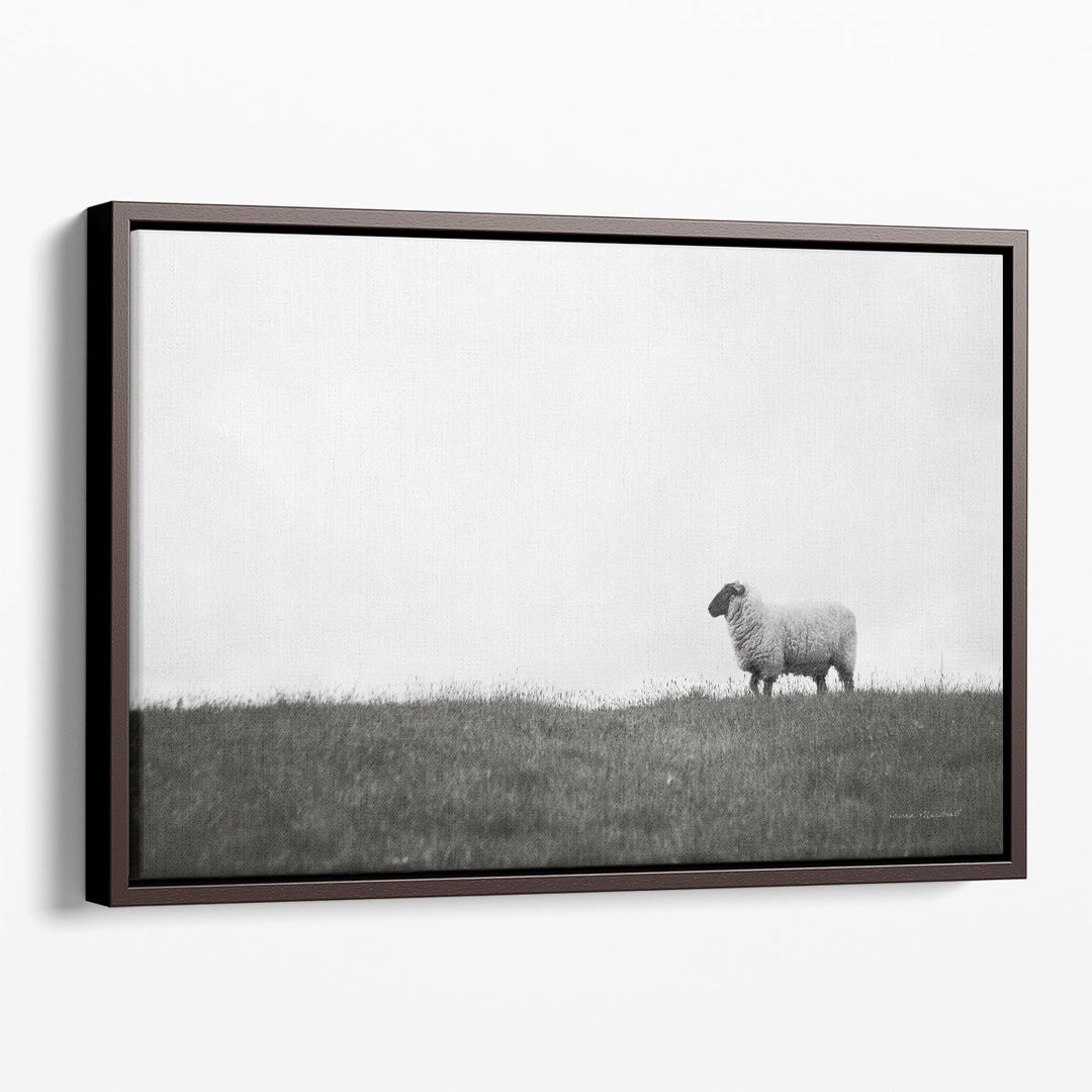 Islay Sheep II - Canvas Print Wall Art