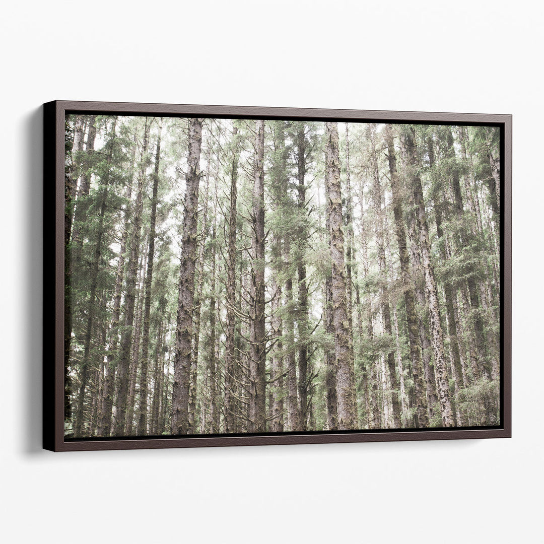 Mossy Pines - Canvas Print Wall Art