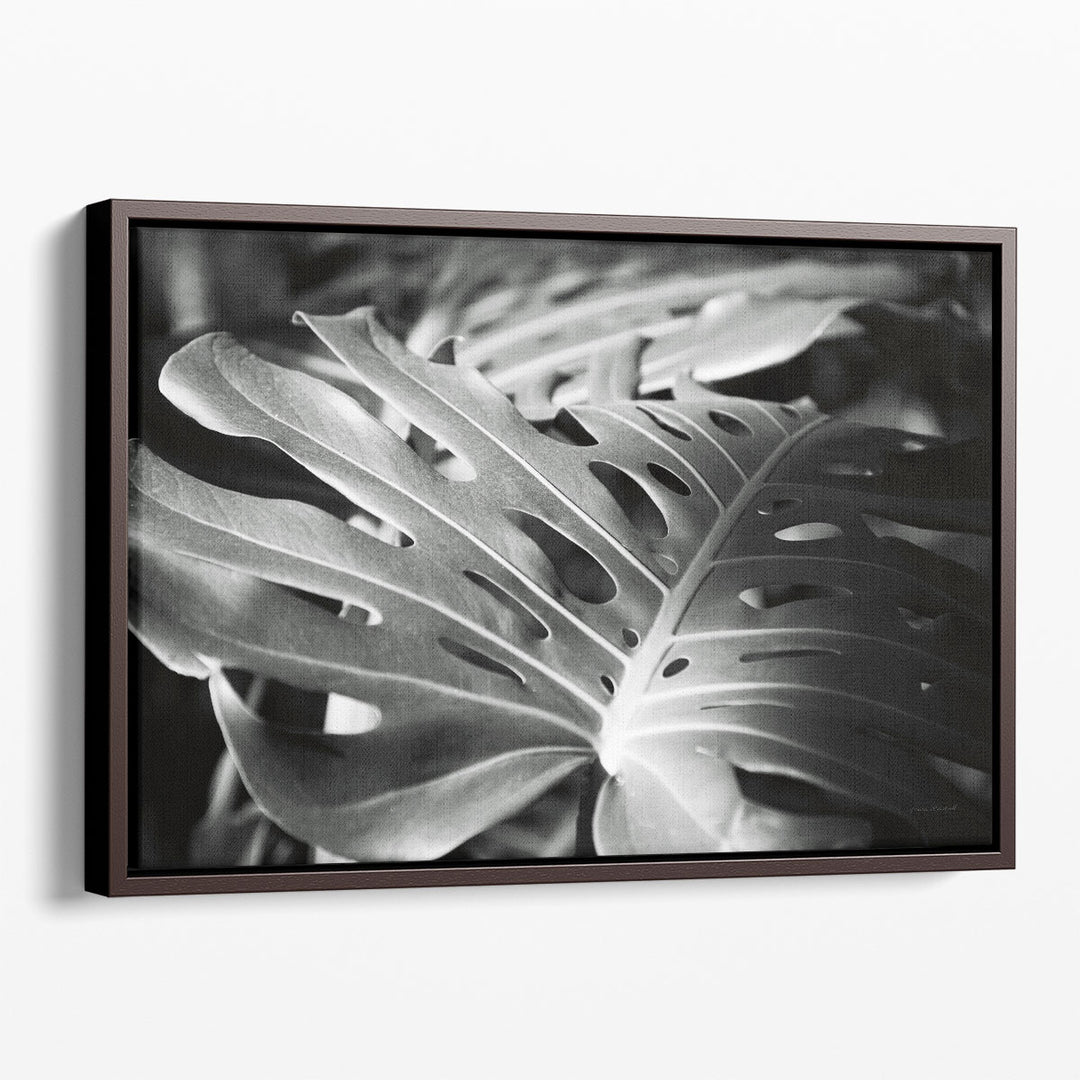 Philodendron Black and White - Canvas Print Wall Art