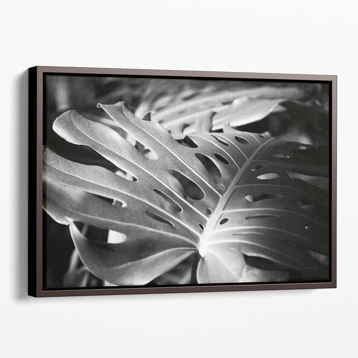 Philodendron Black and White - Canvas Print Wall Art