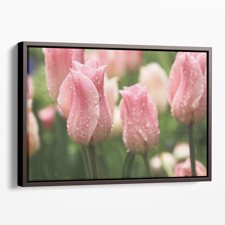 Tulips after the Rain - Canvas Print Wall Art