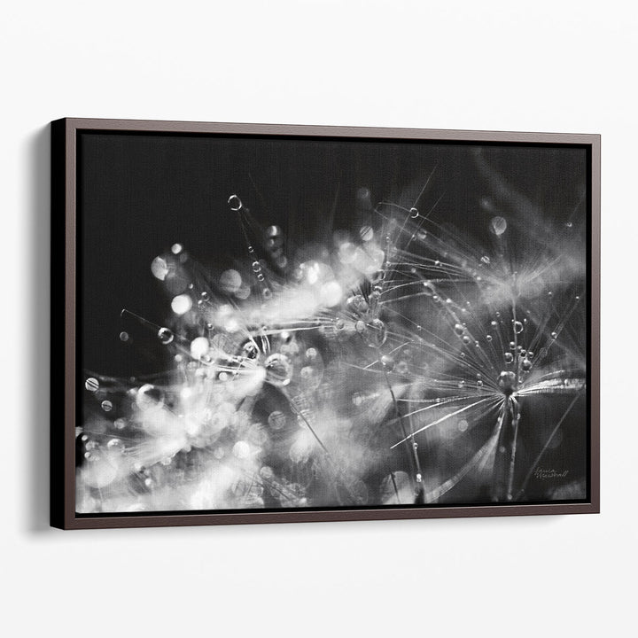 Dandelion Abstract II Black and White - Canvas Print Wall Art