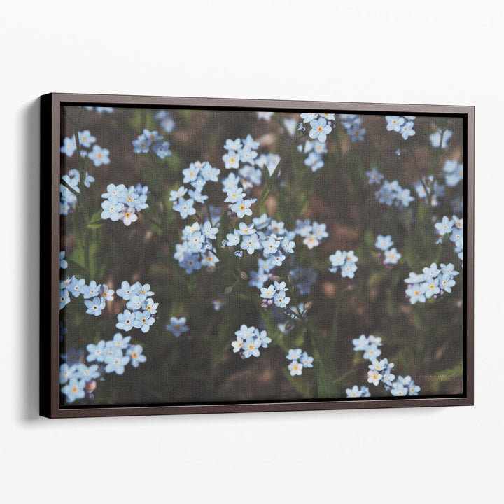 Forget Me Nots I - Canvas Print Wall Art