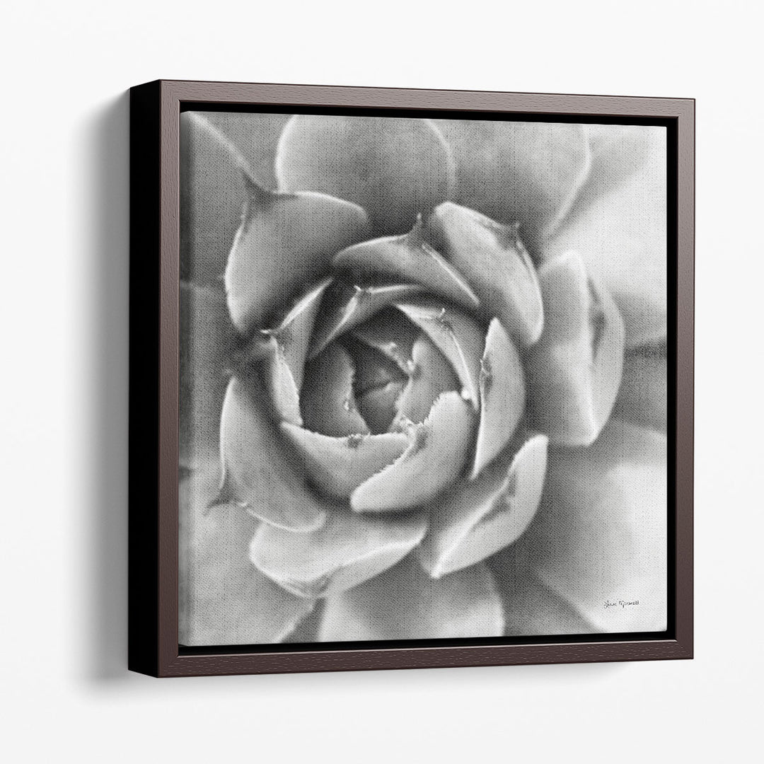 Garden Succulent II - Canvas Print Wall Art